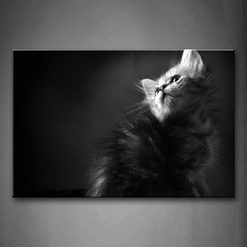 Black And White Cat Look Up Wall Art Painting The Picture Print On Canvas Animal Pictures For Home Decor Decoration Gift 