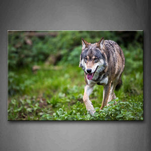 Wolf Run On Grass Wall Art Painting Pictures Print On Canvas Animal The Picture For Home Modern Decoration 