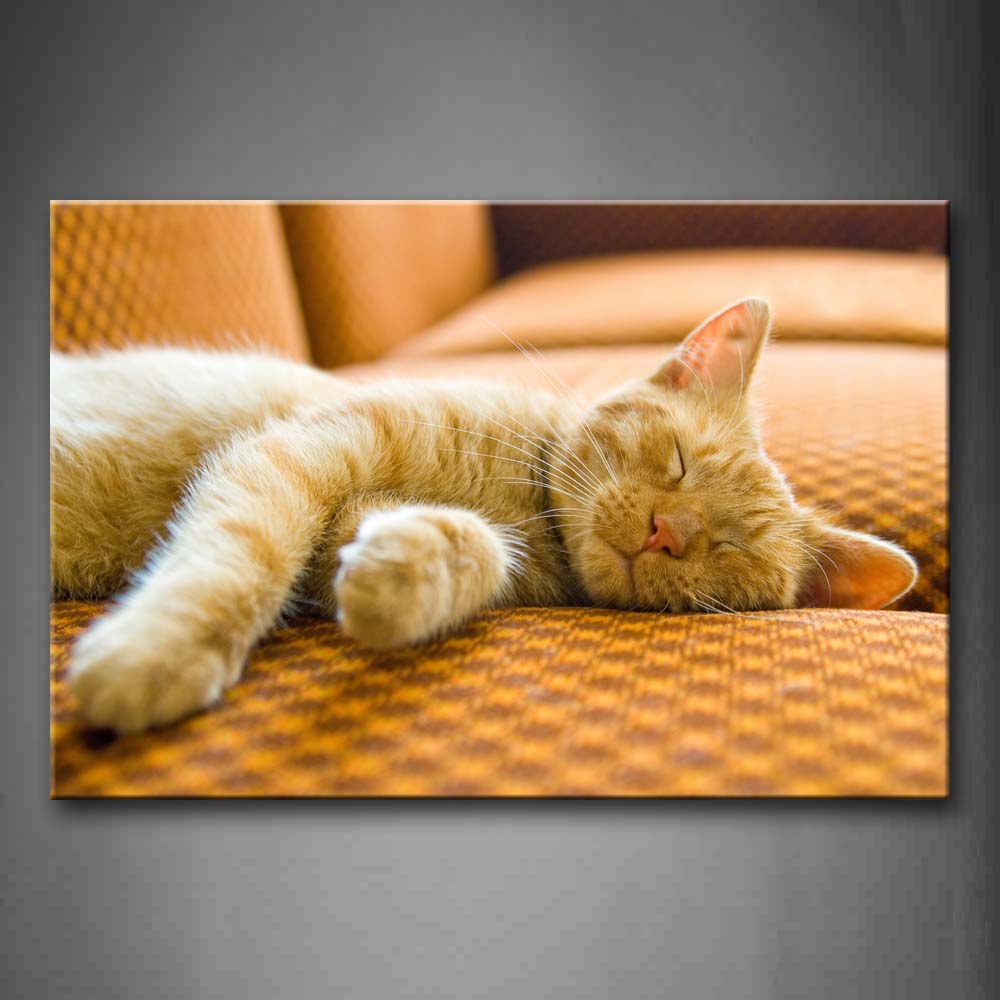 Brown Cat Sleep On Sofa Wall Art Painting The Picture Print On Canvas Animal Pictures For Home Decor Decoration Gift 