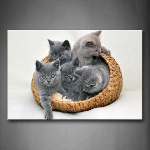 Five Gray Cats In Basket Wall Art Painting Pictures Print On Canvas Animal The Picture For Home Modern Decoration 