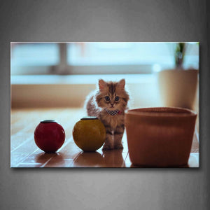 Cat Stand On Floor Vase Ball Basket Cute Wall Art Painting The Picture Print On Canvas Animal Pictures For Home Decor Decoration Gift 