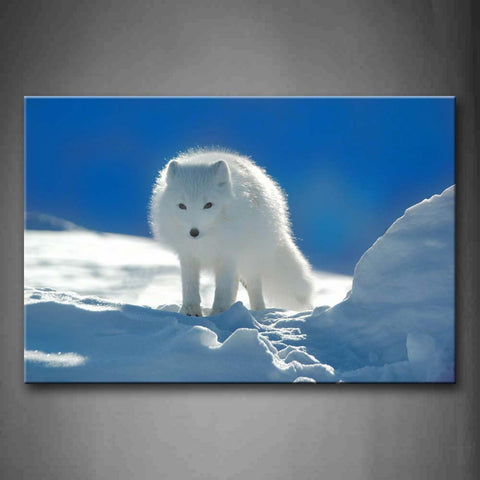 Arctic Fox Stand On Snowfield Wall Art Painting Pictures Print On Canvas Animal The Picture For Home Modern Decoration 