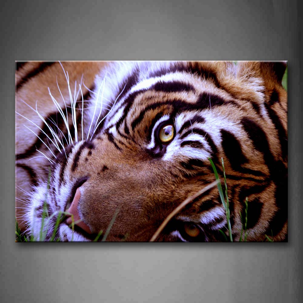 Tiger Head Grass Portrait Wall Art Painting Pictures Print On Canvas Animal The Picture For Home Modern Decoration 