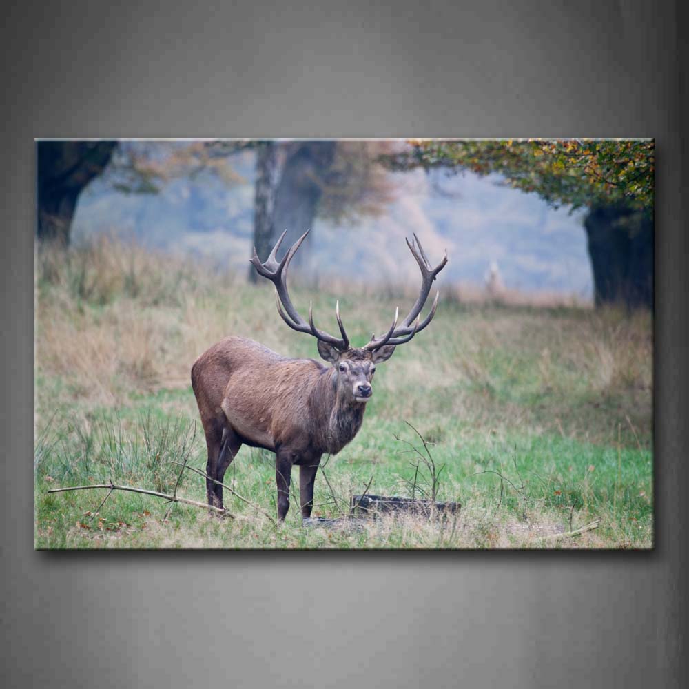 Deer With Long Antler On Grass Wall Art Painting The Picture Print On Canvas Animal Pictures For Home Decor Decoration Gift 