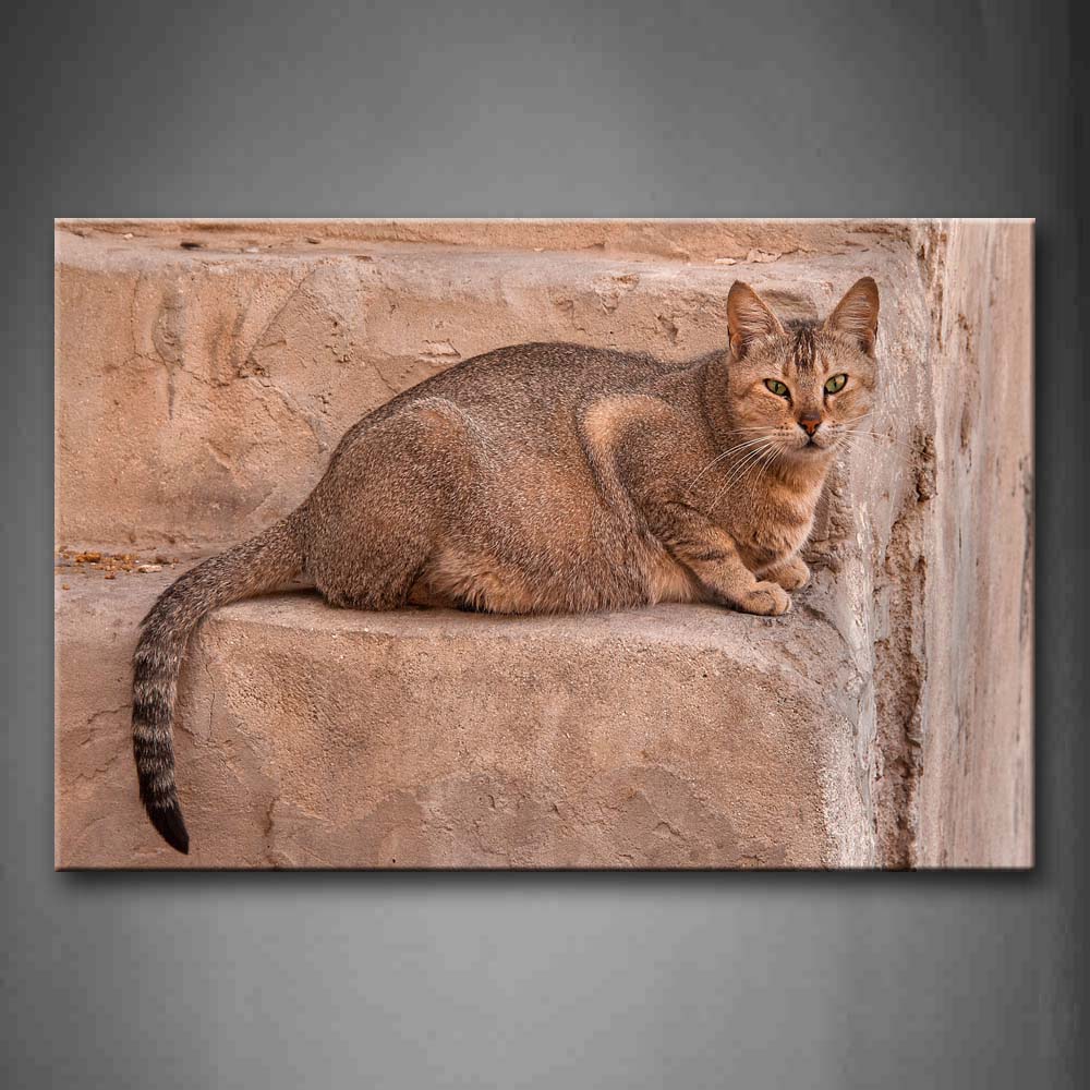 Brown Cat Sitting On Stair Wall Art Painting Pictures Print On Canvas Animal The Picture For Home Modern Decoration 