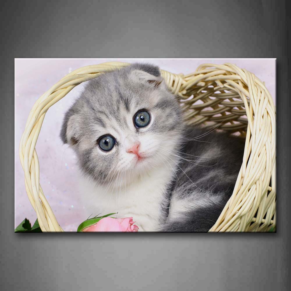 Lovely Cat With Blue Eyes In Basket Wall Art Painting Pictures Print On Canvas Animal The Picture For Home Modern Decoration 