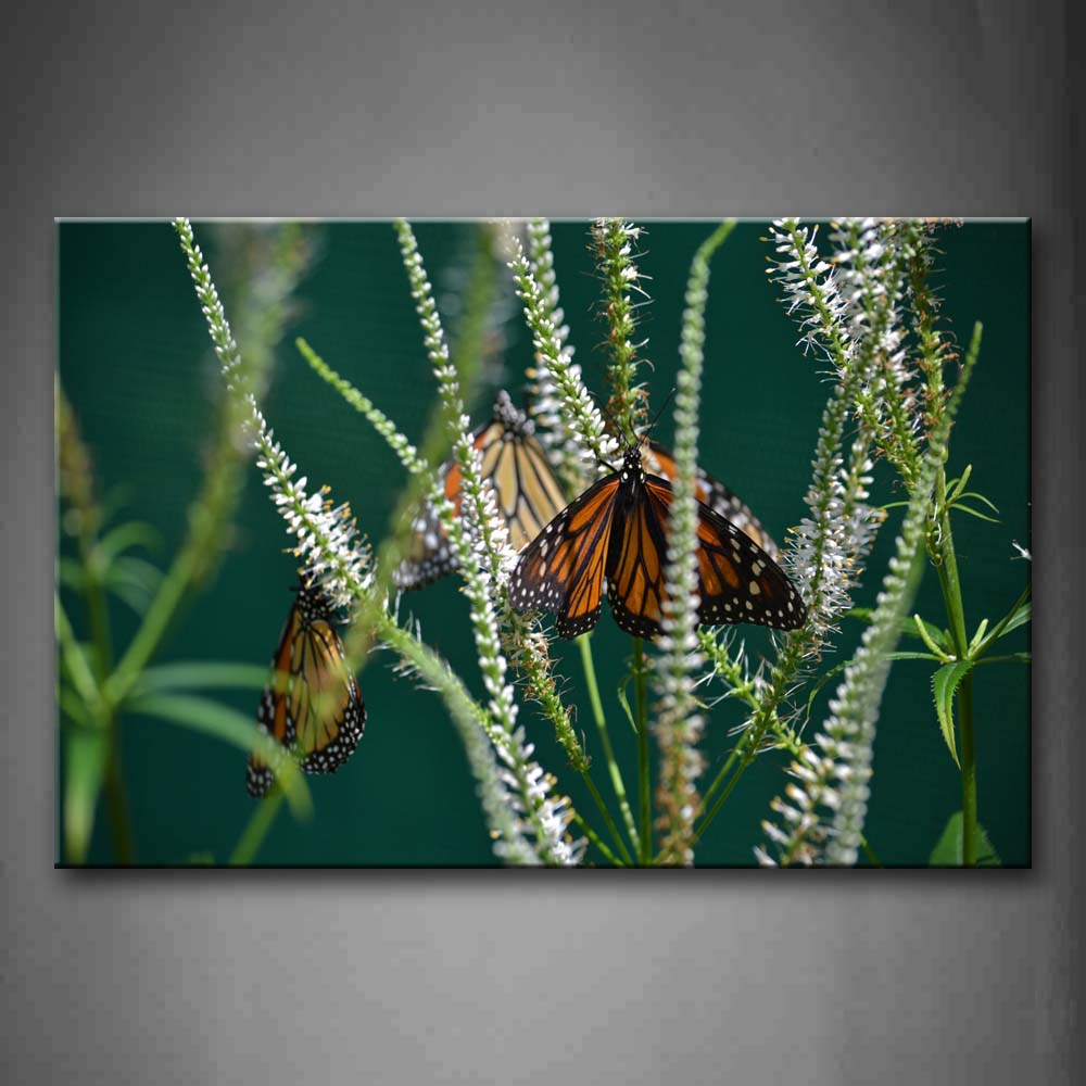 Orange Butterfly Stop On Bushes Wall Art Painting The Picture Print On Canvas Animal Pictures For Home Decor Decoration Gift 