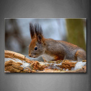 Lovely Squirrel With Dead Wood Foraging Wall Art Painting The Picture Print On Canvas Animal Pictures For Home Decor Decoration Gift 