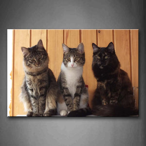 Three Lovely Cat Staring Wall Art Painting Pictures Print On Canvas Animal The Picture For Home Modern Decoration 