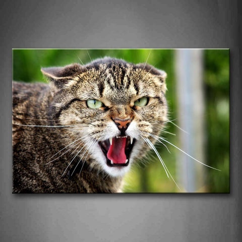 Cat Openmouth With Green Eyes Wall Art Painting Pictures Print On Canvas Animal The Picture For Home Modern Decoration 