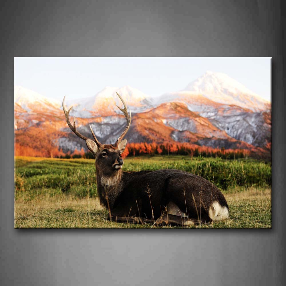 Deer With Long Antler Staring On Grass Wall Art Painting Pictures Print On Canvas Animal The Picture For Home Modern Decoration 