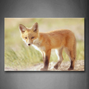 Cute Fox Walking In Grass Wall Art Painting The Picture Print On Canvas Animal Pictures For Home Decor Decoration Gift 