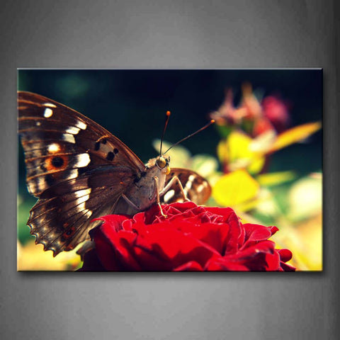 Brown Butterfly Stop On Red Rose Wall Art Painting The Picture Print On Canvas Animal Pictures For Home Decor Decoration Gift 