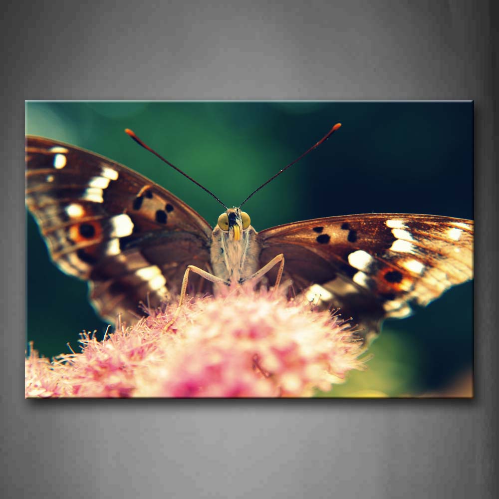 Brown Butterfly Stop On Pink Flower Wall Art Painting Pictures Print On Canvas Animal The Picture For Home Modern Decoration 