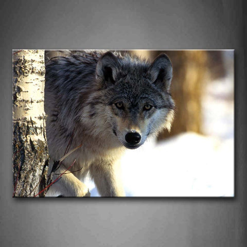 Wolf Staring With Tree In Winter Wall Art Painting Pictures Print On Canvas Animal The Picture For Home Modern Decoration 