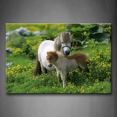 Horse With Cub In Grass With Flower Wall Art Painting Pictures Print On Canvas Animal The Picture For Home Modern Decoration 