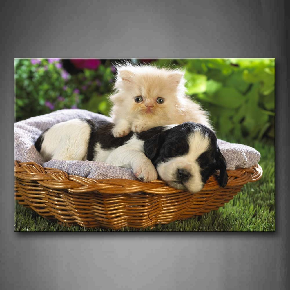 Cat And Dog In Basket Resting  Wall Art Painting The Picture Print On Canvas Animal Pictures For Home Decor Decoration Gift 