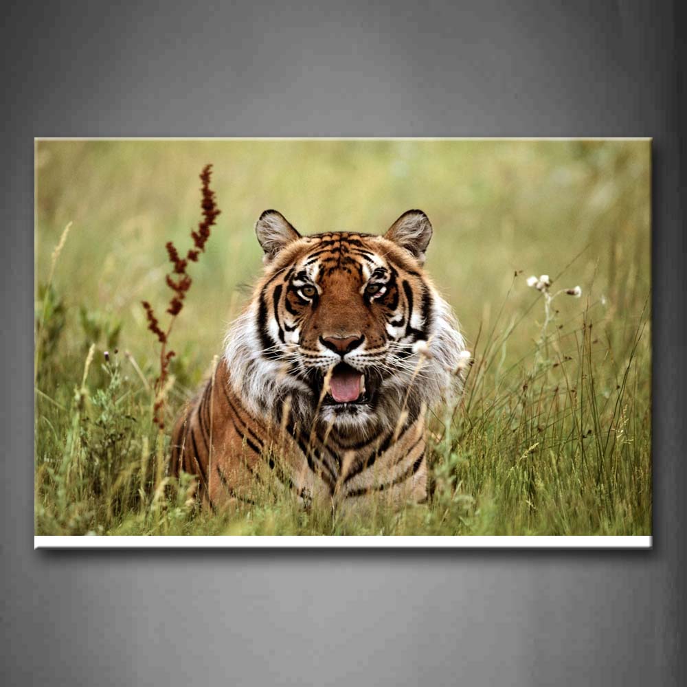 Tiger Openmouth In Bushes Wall Art Painting Pictures Print On Canvas Animal The Picture For Home Modern Decoration 