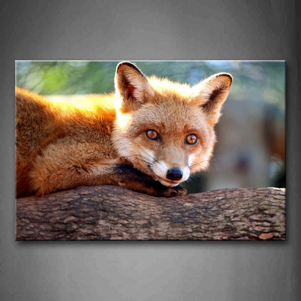 Brown Fox Lying Front On Dead Wood Wall Art Painting Pictures Print On Canvas Animal The Picture For Home Modern Decoration 