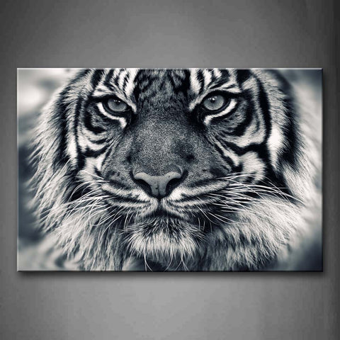 Black And White Ferocity Tiger With Eye Staring And Beard Wall Art Painting Pictures Print On Canvas Animal The Picture For Home Modern Decoration 