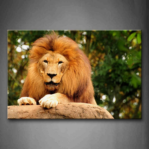 Brown Lion Lying Front On Stone Staring Wall Art Painting The Picture Print On Canvas Animal Pictures For Home Decor Decoration Gift 