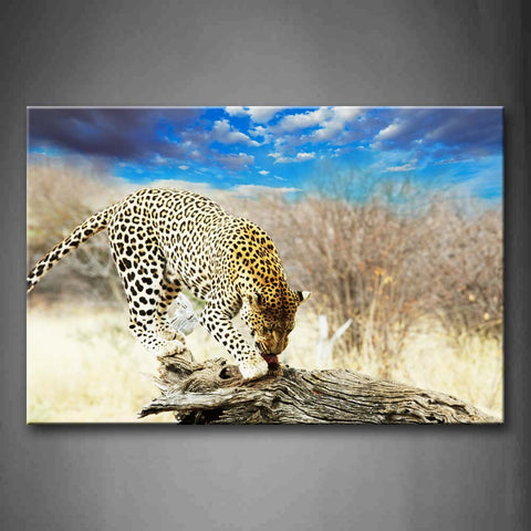 Leopard Stand On Dead Wood Wall Art Painting Pictures Print On Canvas Animal The Picture For Home Modern Decoration 