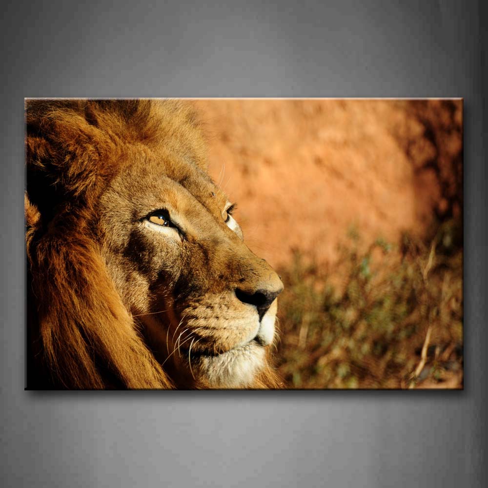 Brown Brwon Lion Staring Wall Art Painting The Picture Print On Canvas Animal Pictures For Home Decor Decoration Gift 