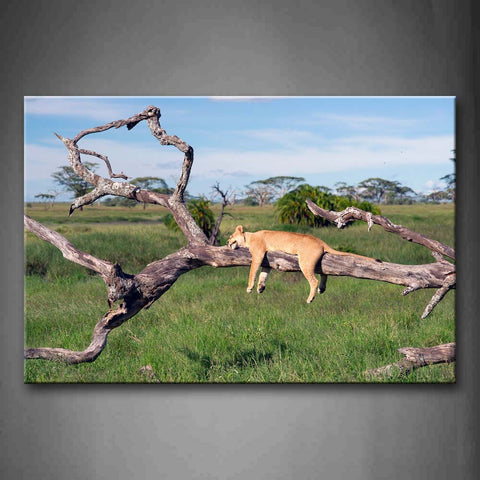 Brown Lion Lying Front On Dead Wood Wall Art Painting The Picture Print On Canvas Animal Pictures For Home Decor Decoration Gift 