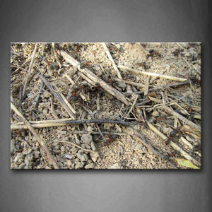 Ant Walking With Dead Grass Wall Art Painting Pictures Print On Canvas Animal The Picture For Home Modern Decoration 