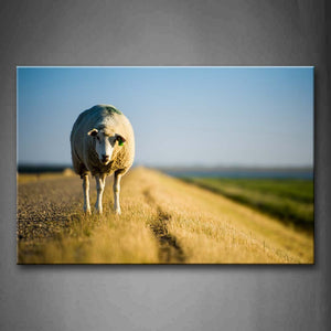 A Sheep Standing In Grass Field Wall Art Painting Pictures Print On Canvas Animal The Picture For Home Modern Decoration 