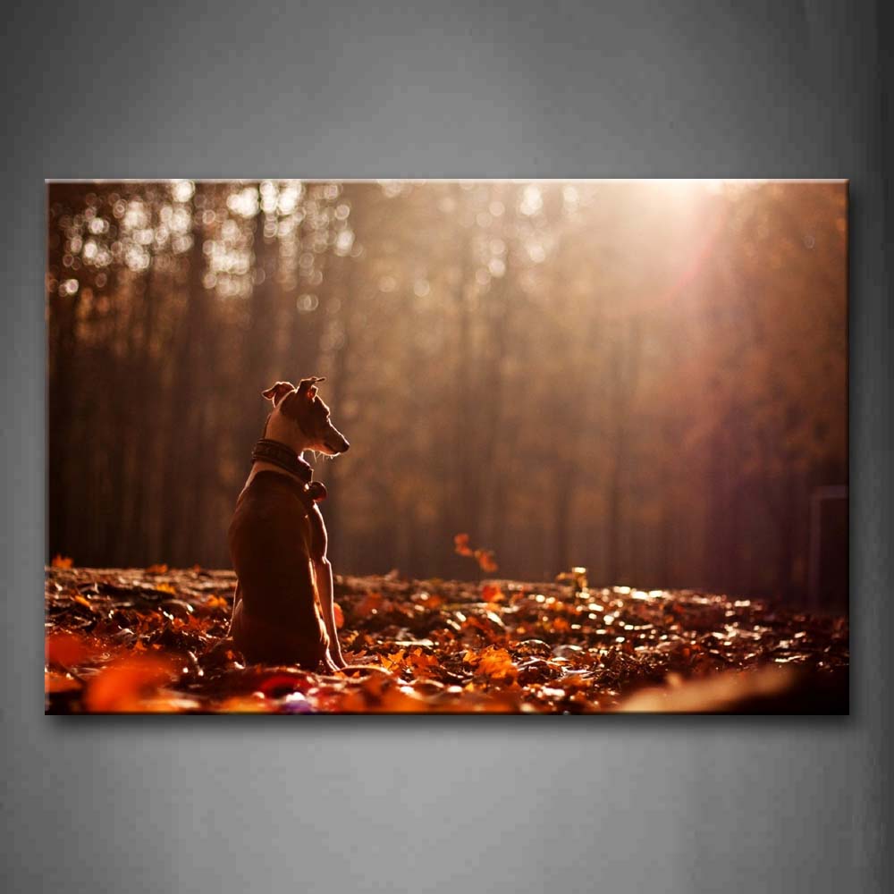 Dog Back Close-Up In Fall Under Sunset Maple Leaf All Around Wall Art Painting Pictures Print On Canvas Animal The Picture For Home Modern Decoration 