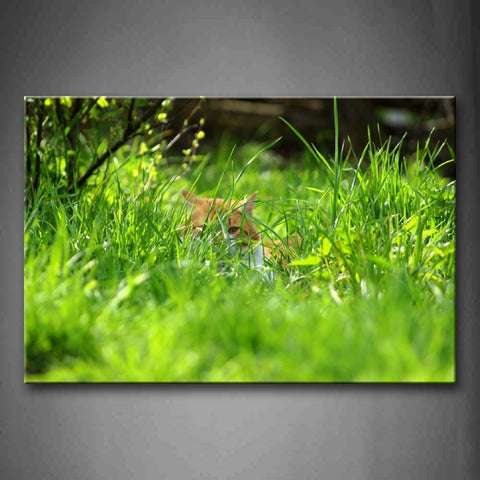 Cat Is  Hiding In The Grass Wall Art Painting The Picture Print On Canvas Animal Pictures For Home Decor Decoration Gift 