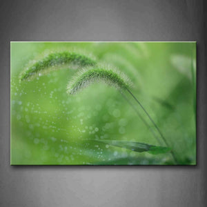 Grass With Drop Of Water Wall Art Painting The Picture Print On Canvas Botanical Pictures For Home Decor Decoration Gift 