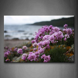 Purple Flower Grow Near Beach Hill Wall Art Painting Pictures Print On Canvas Flower The Picture For Home Modern Decoration 