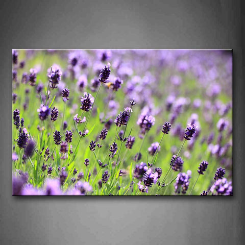 Purple Flower On Grassland Wall Art Painting Pictures Print On Canvas Flower The Picture For Home Modern Decoration 