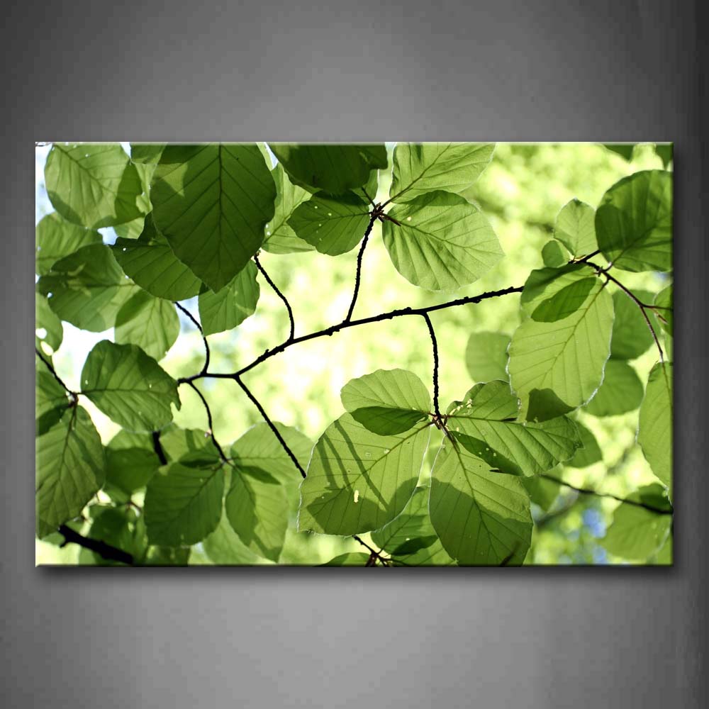 Light Green Leafs Portrait Wall Art Painting Pictures Print On Canvas Botanical The Picture For Home Modern Decoration 