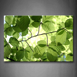 Light Green Leafs Portrait Wall Art Painting Pictures Print On Canvas Botanical The Picture For Home Modern Decoration 