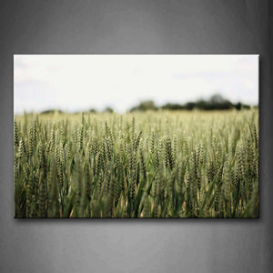 Field Wheat Portrait Wall Art Painting The Picture Print On Canvas Botanical Pictures For Home Decor Decoration Gift 