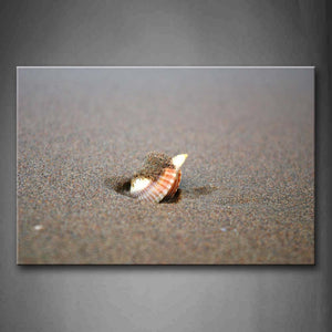 Shell Is Covered Sand On Beach Wall Art Painting Pictures Print On Canvas Seascape The Picture For Home Modern Decoration 