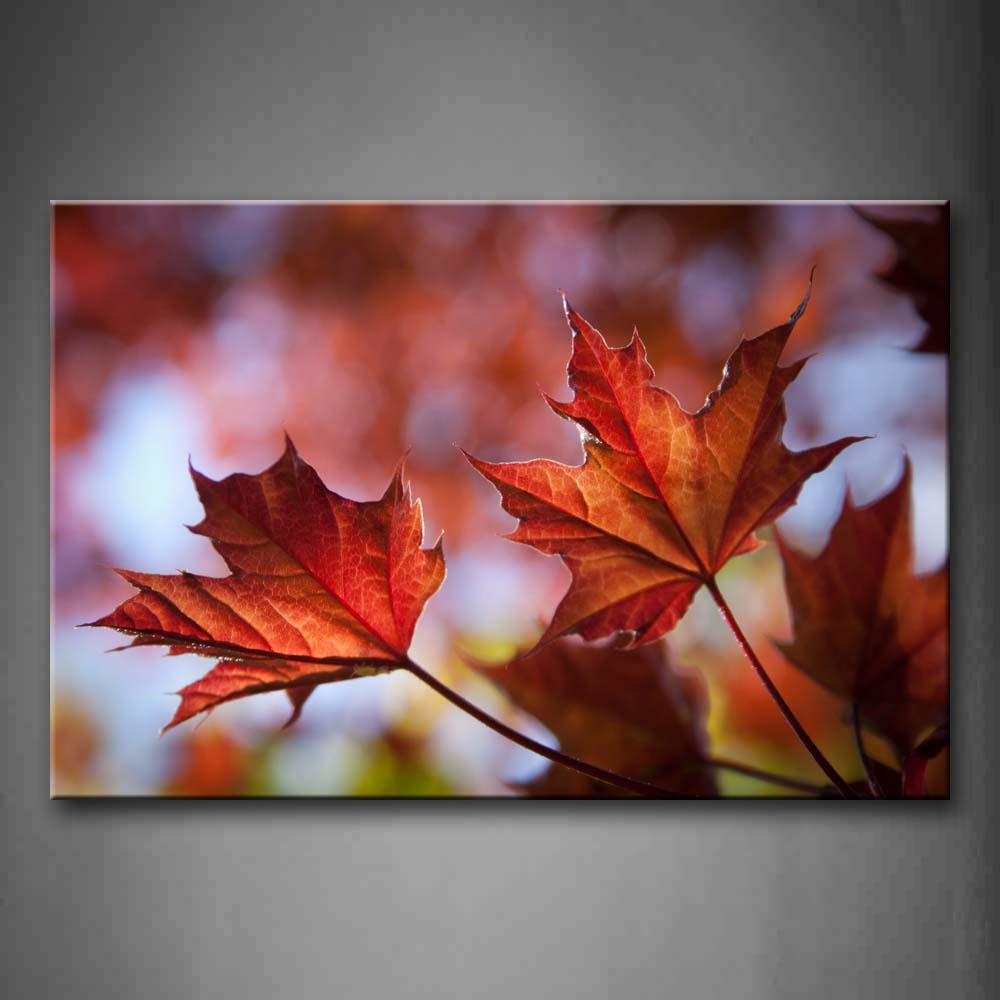 Maple Leafs Portrait Wall Art Painting Pictures Print On Canvas Botanical The Picture For Home Modern Decoration 