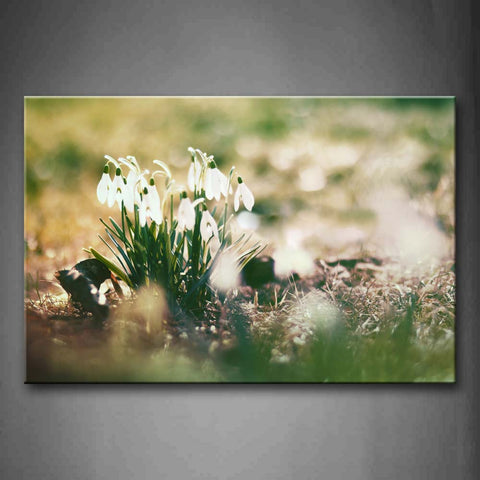 White Flower With Leafs In Dry Grass Wall Art Painting The Picture Print On Canvas Flower Pictures For Home Decor Decoration Gift 