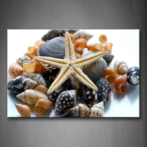 Different Shape Of Shells On White Floor Wall Art Painting Pictures Print On Canvas Art The Picture For Home Modern Decoration 