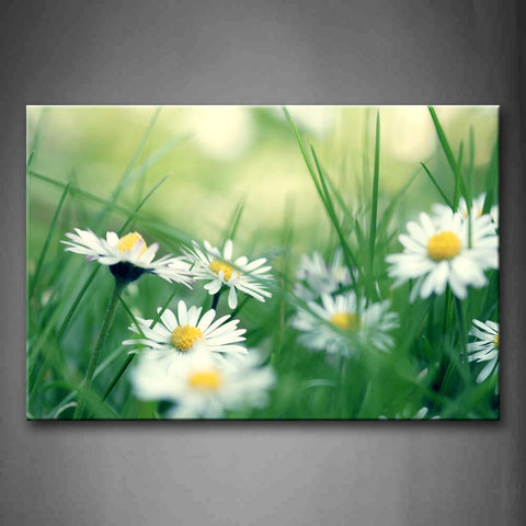 White Flower In Thick Green Grass  Wall Art Painting Pictures Print On Canvas Flower The Picture For Home Modern Decoration 