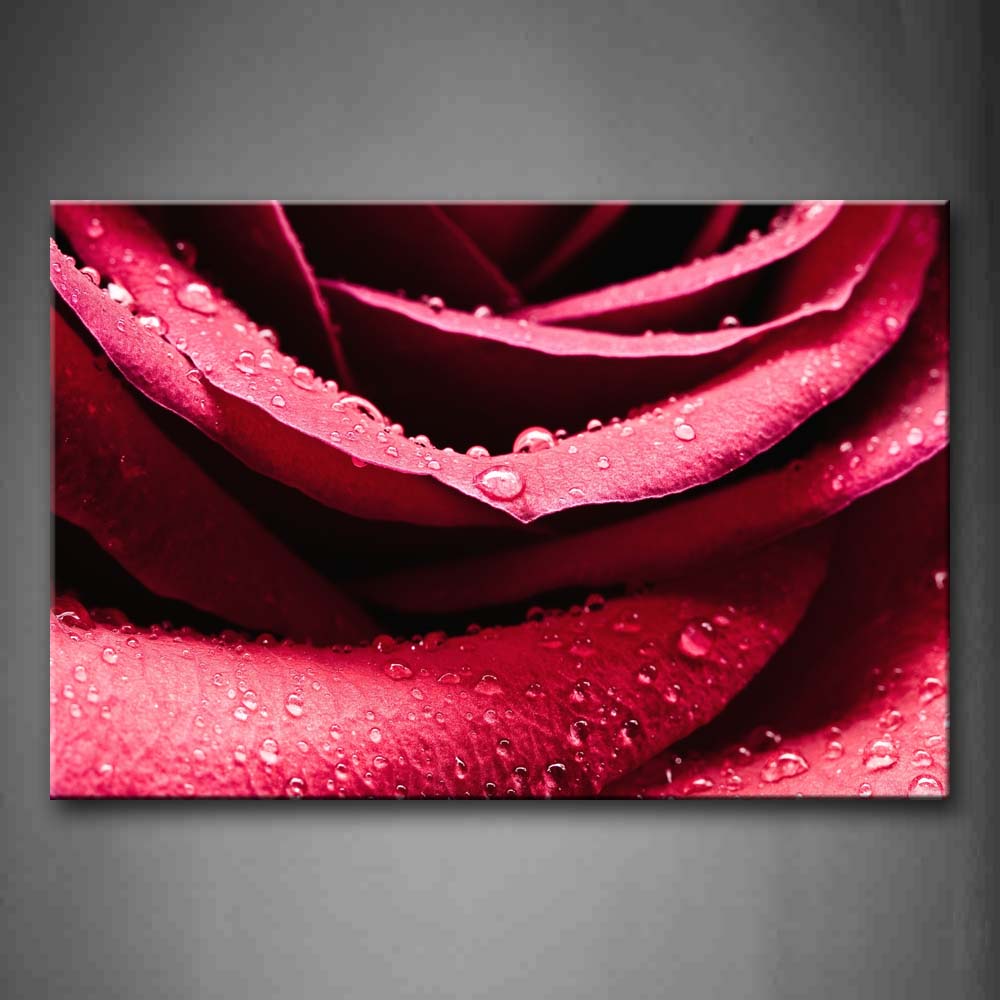 Red Rose With Drop Of Water Wall Art Painting Pictures Print On Canvas Flower The Picture For Home Modern Decoration 