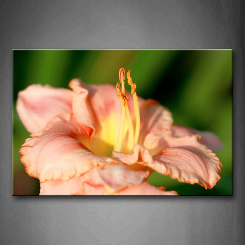 Pink And Yellow Flower Portrait Wall Art Painting Pictures Print On Canvas Flower The Picture For Home Modern Decoration 