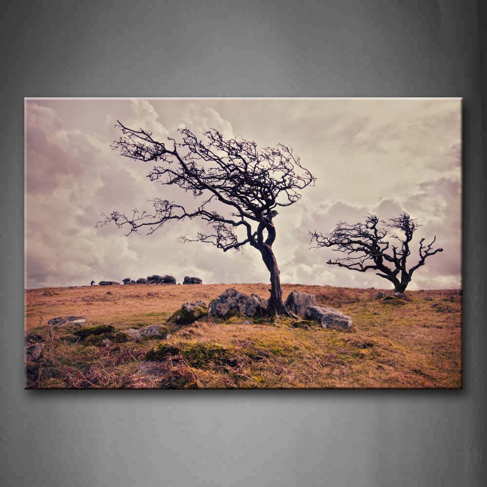 Two Dry Trees On Grass Stones Thick Cloud Wall Art Painting Pictures Print On Canvas Landscape The Picture For Home Modern Decoration 