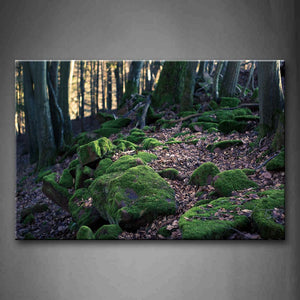 Forest Moss On Stones Fallen Leafs Wall Art Painting Pictures Print On Canvas Landscape The Picture For Home Modern Decoration 