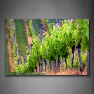 Vineyard Orderly Trees Dry Grass Wall Art Painting The Picture Print On Canvas Botanical Pictures For Home Decor Decoration Gift 