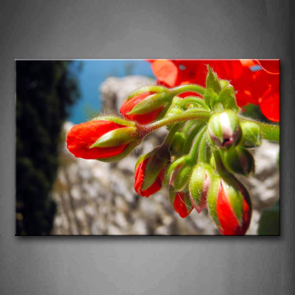 Red Flower Portrait Wall Art Painting Pictures Print On Canvas Flower The Picture For Home Modern Decoration 
