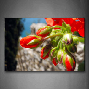 Red Flower Portrait Wall Art Painting Pictures Print On Canvas Flower The Picture For Home Modern Decoration 